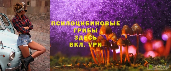 стаф Белоозёрский
